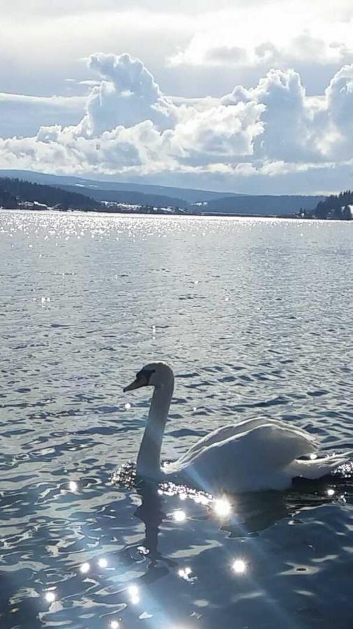 L'Ecrin Du Lac Saint-Point-Lac Eksteriør bilde
